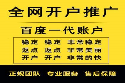 高效百度竞价推广代运营实战案例